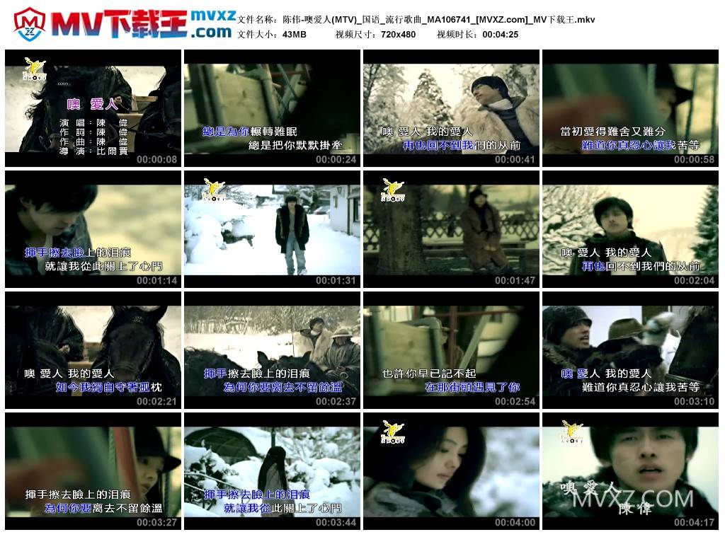 陈伟-噢爱人(MTV)_国语_流行歌曲_MA106741